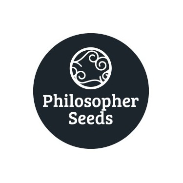 Semillas autoflorecientes Philosopher Seeds